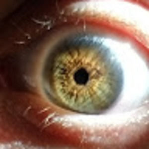 Meet your Posher, Just